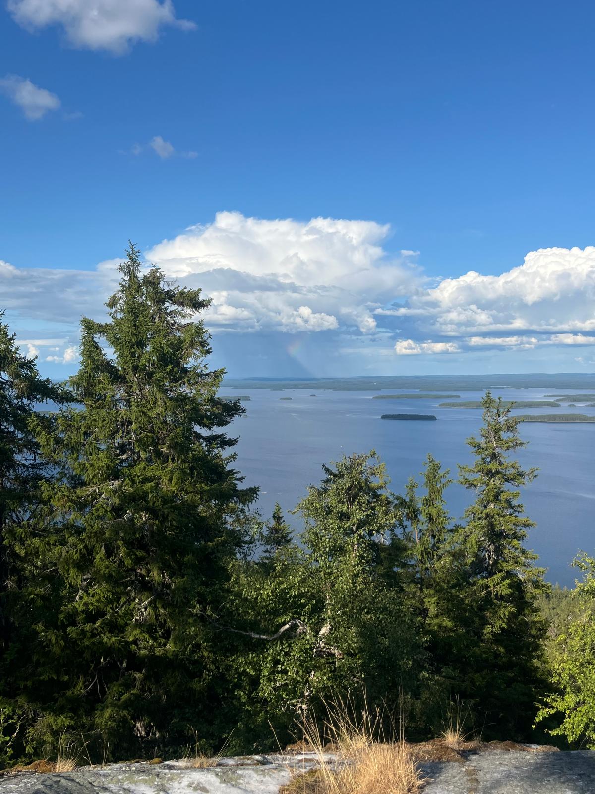 Koli